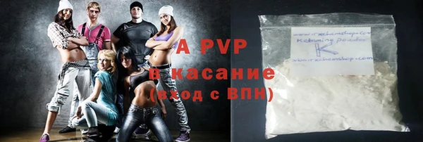 хмурый Няндома