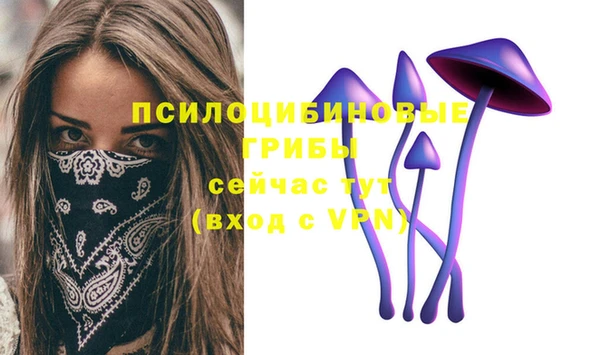 метадон Верея