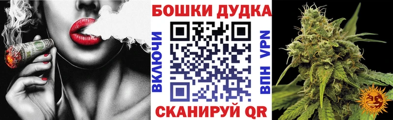 купить   Кострома  Бошки марихуана Amnesia 